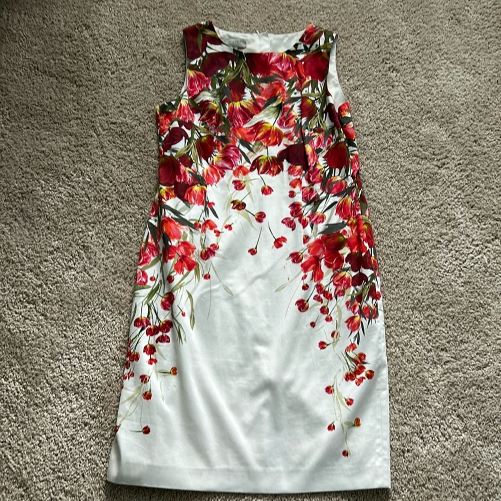 Hobbs of London lined floral sheath dress